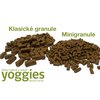 Yoggies-granule-minigranule origin..jpg