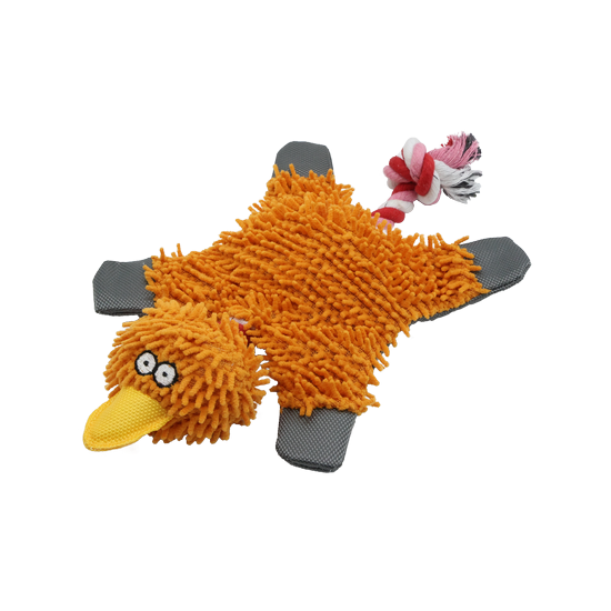 PT0208-B (ORANGE).png