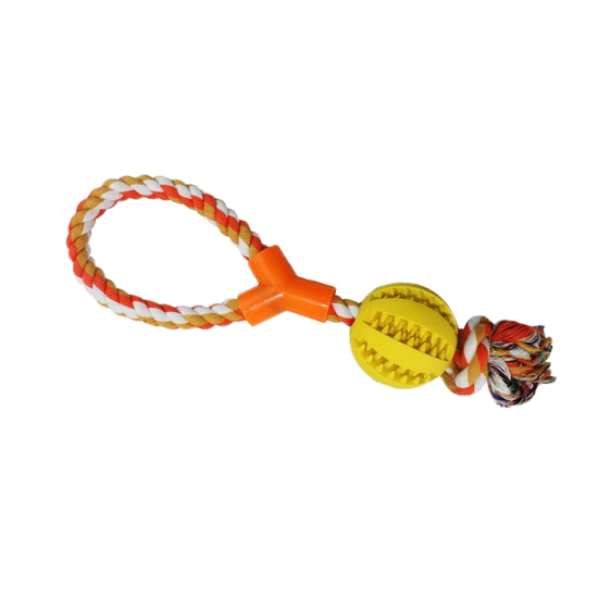 imagehandler (50).png